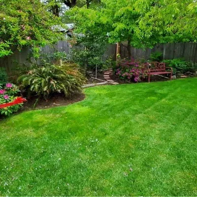Pacific Evergreen Lawn Care - Veneta & Eugene