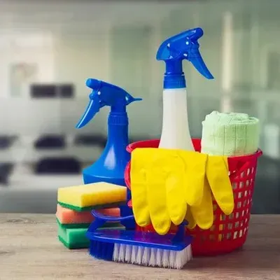BOLD-Cleaning Services and More