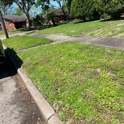 Isidro's Lawn service