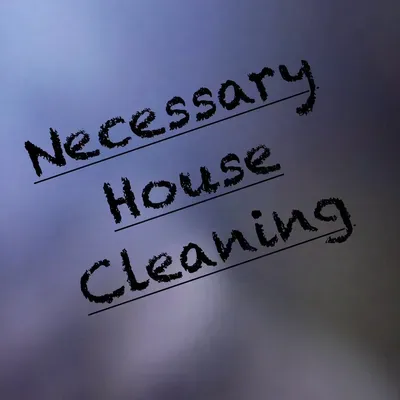 Necessary House Cleaning