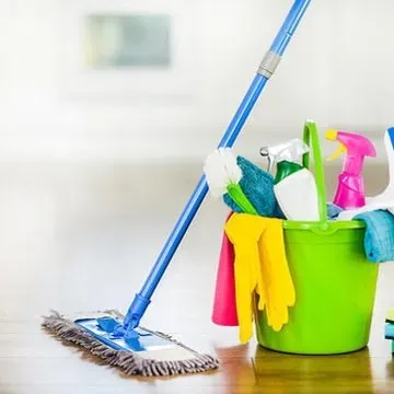 Cleaning Ladies