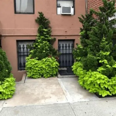 Majestic Landscapes & Gardens LLC