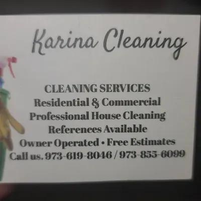 karina cleaning service