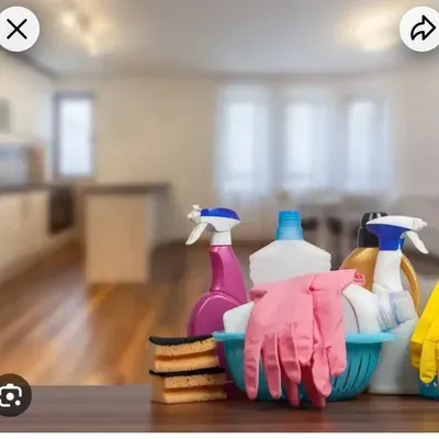 Dina’s Cleaning