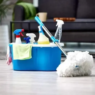 PrisnicleaningLLC