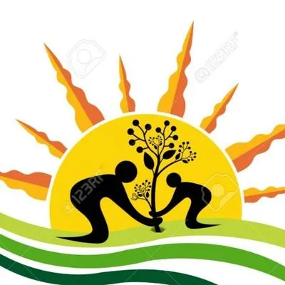 New Resolutions Lawn Care