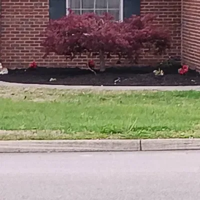 Stevenslandscaping