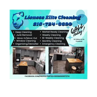 Lioness Elite Cleaning