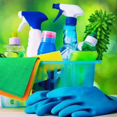 MV Cleaning Services