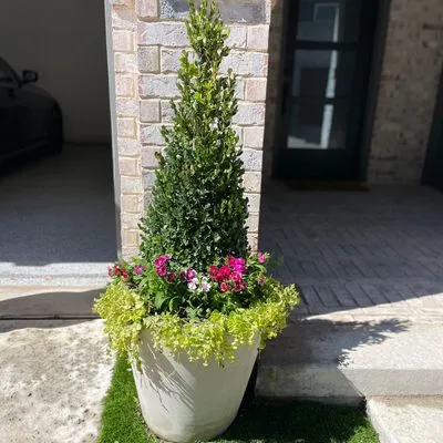 Benitez Landscaping  Drainage