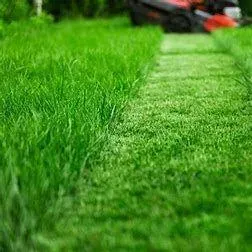 Green Creations