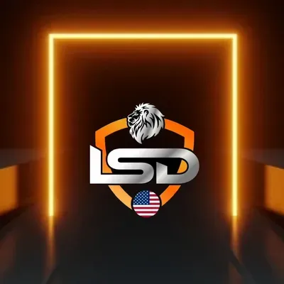 LSD enterprises