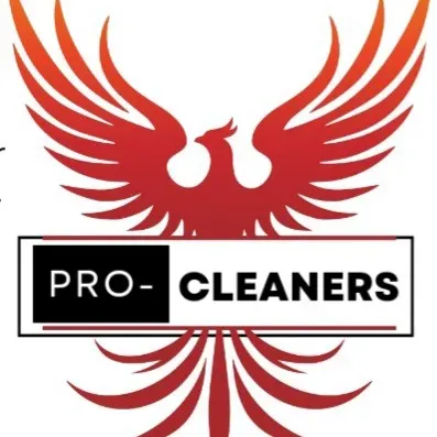 Pro-Cleaners+