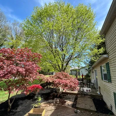 Zays Landscaping and Everything Else