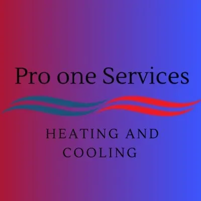 Pro One services