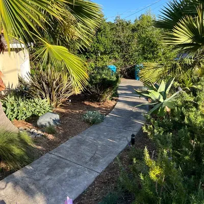 AR Lendscaper and gardenservice