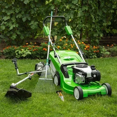 Futuristic Landscaping