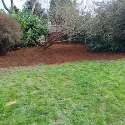 Aris Landscaping