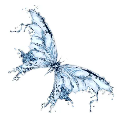 Mariposa Cleaning Service