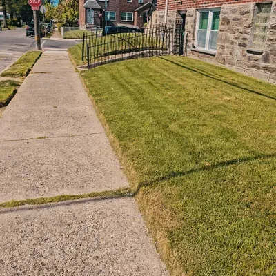 Philly Grass Buddy