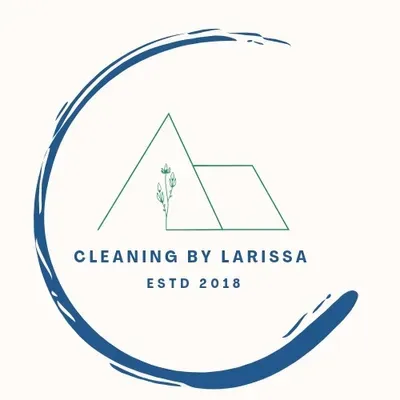 Cleaning by Larissa