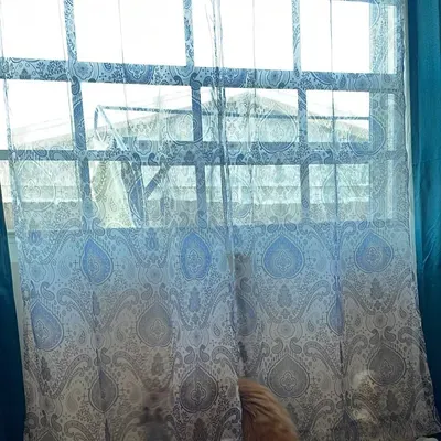 Marypilihousecleaning