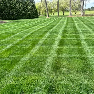 C&A lawn maintenance