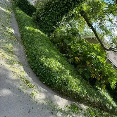 True landscape’s & design