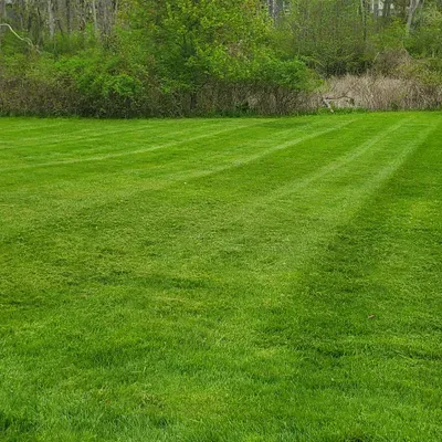 Elmer &Chaneli landscaping LLC