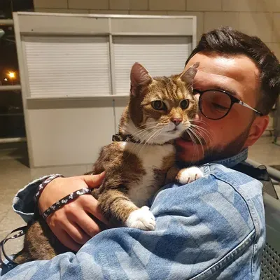 Teddy Irbis