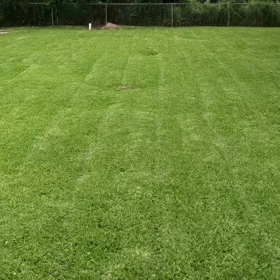 Andres lawn service