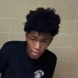 Mr get it done