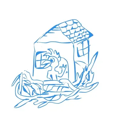 Bird’s Nesting