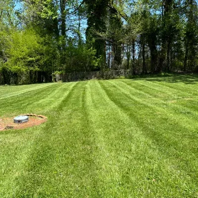 Blue Skies Green Grass