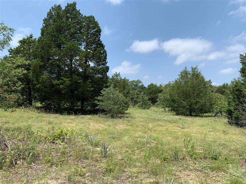 TBD Hills Dr, Athens, TX 75751 for Sale