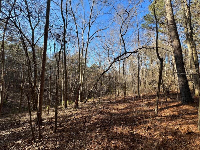 Buchanan, Haralson County, GA Undeveloped Land for sale Property ID: 418535050