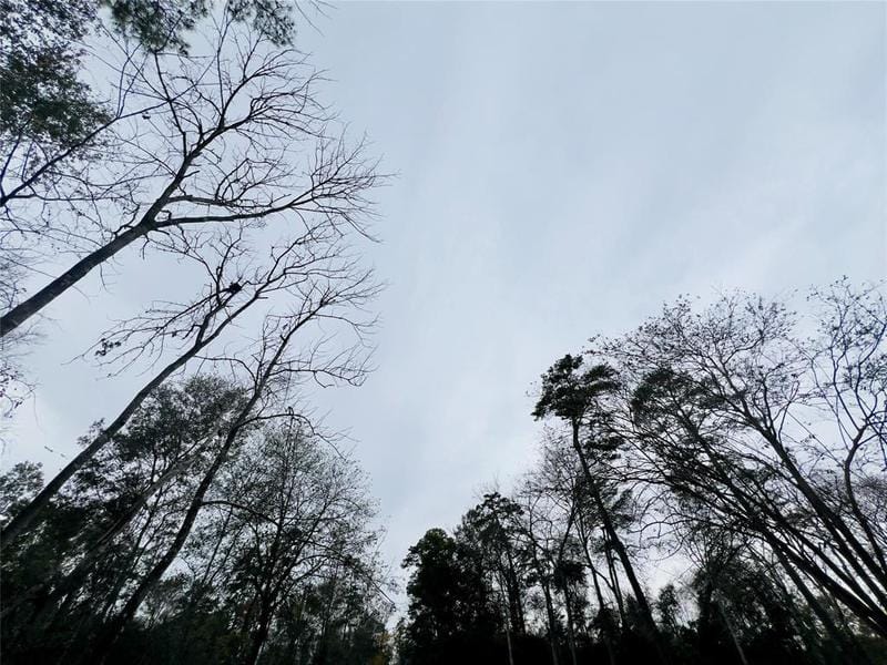 Lot 5 Fenham Ln, Humble, TX 77338 for Sale