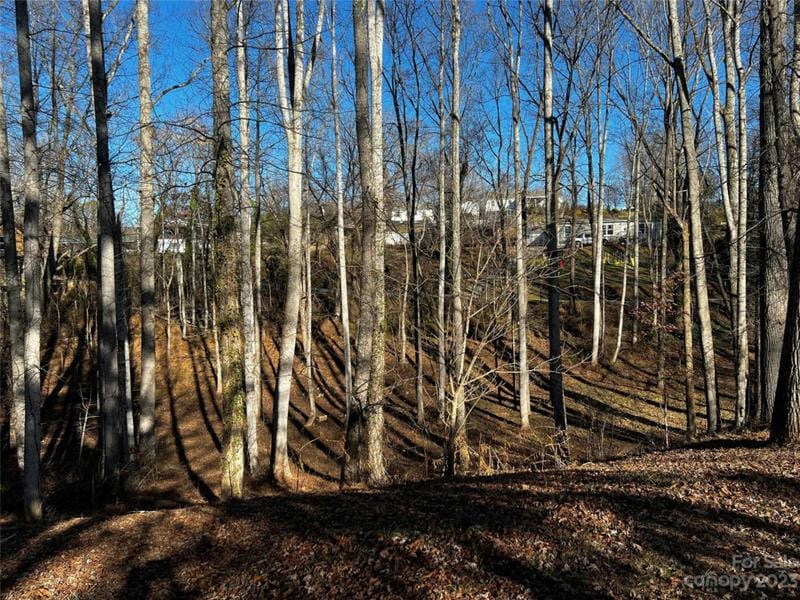 99999 E SKYLAND CIR, Asheville, NC 28804 Land For Sale  MLS# 4098749