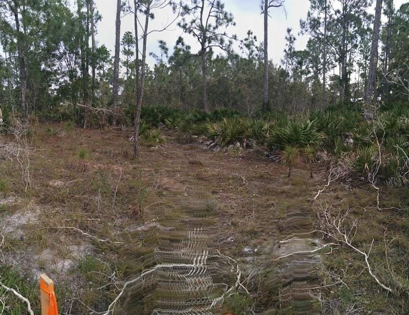 Punta Gorda, Charlotte County, FL Undeveloped Land, Homesites for sale Property ID: 418593255