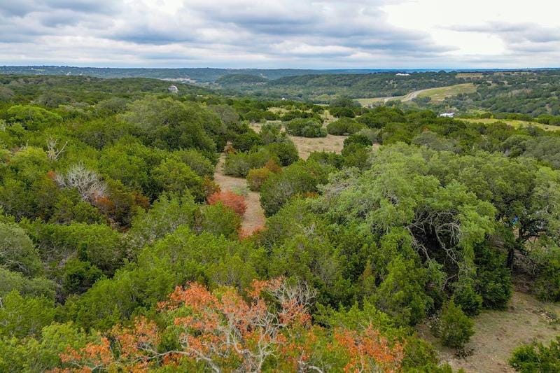 362 Saddle Ridge Drive, Bertram, TX 78605 for Sale