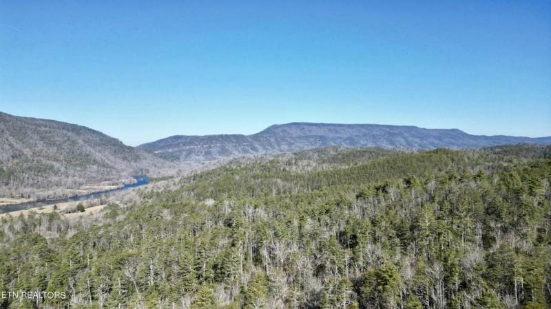 0 0 HAMBRIGHT RD, Reliance, TN 37369 Land For Sale  MLS# 1251596 for Rent
