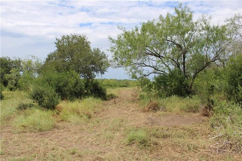 00 Lot 2 Vista Fina Drive, Sandia, TX 78383 for Sale