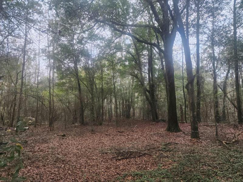 TRACT 4 OLD JACKSON HWY, Jackson, SC 29831 Land For Sale  MLS# 523834