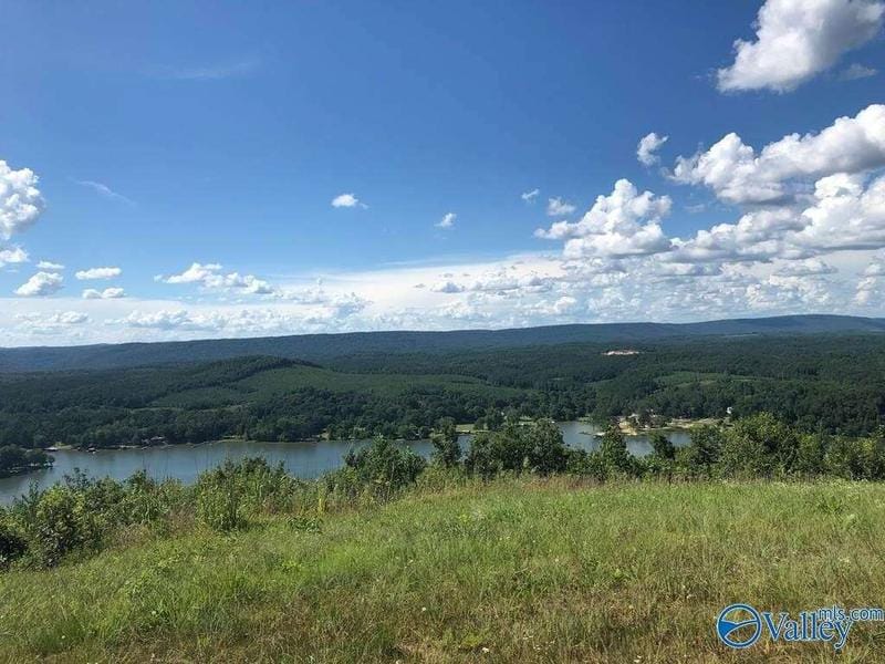 620202829 Property, Cedar Bluff, AL 35959  620202829 for Sale