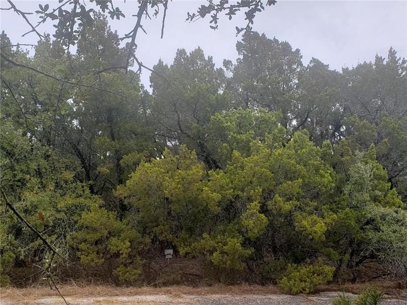 20204 Lansing Cv, Lago Vista, TX 78645 for Sale