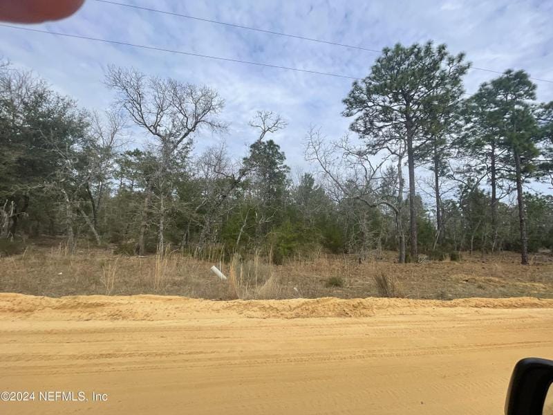 Interlachen, Putnam County, FL Undeveloped Land, Homesites for sale Property ID: 418915185