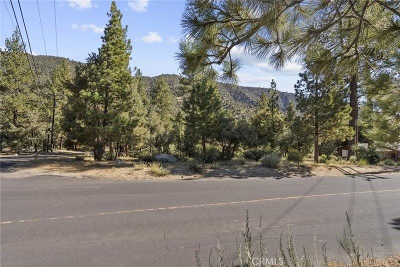 16021 Mil Potrero Fire Road, Pine Mountain Club, CA 93222 for Sale
