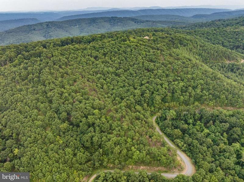 Lot 105 BLUFFS LOOKOUT ROAD, FORT ASHBY, WV 26719  624414898 for Sale