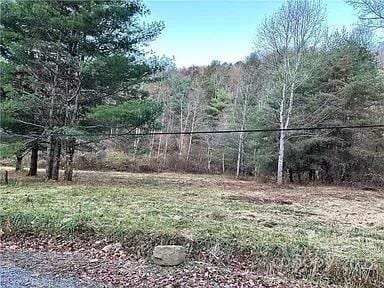 Clyde, Haywood County, NC Farms and Ranches, Homesites for sale Property ID: 418900475