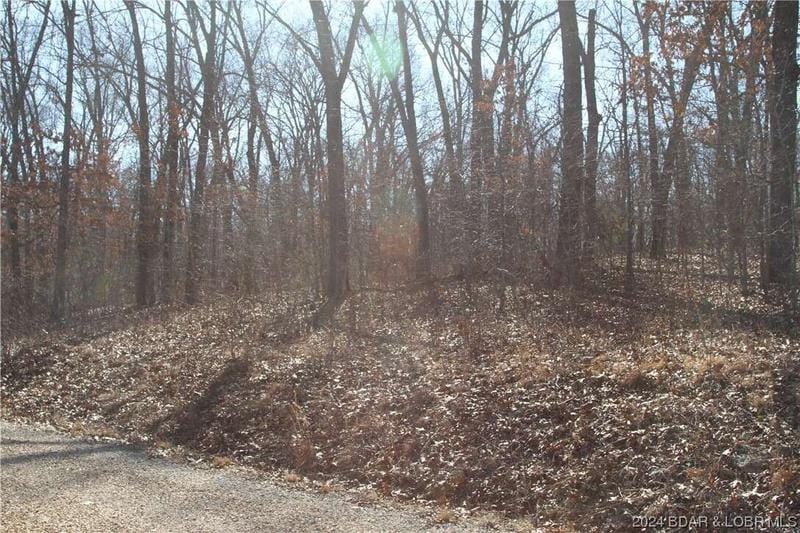 Guccione Road, Edwards, MO 65326  624964338 for Sale